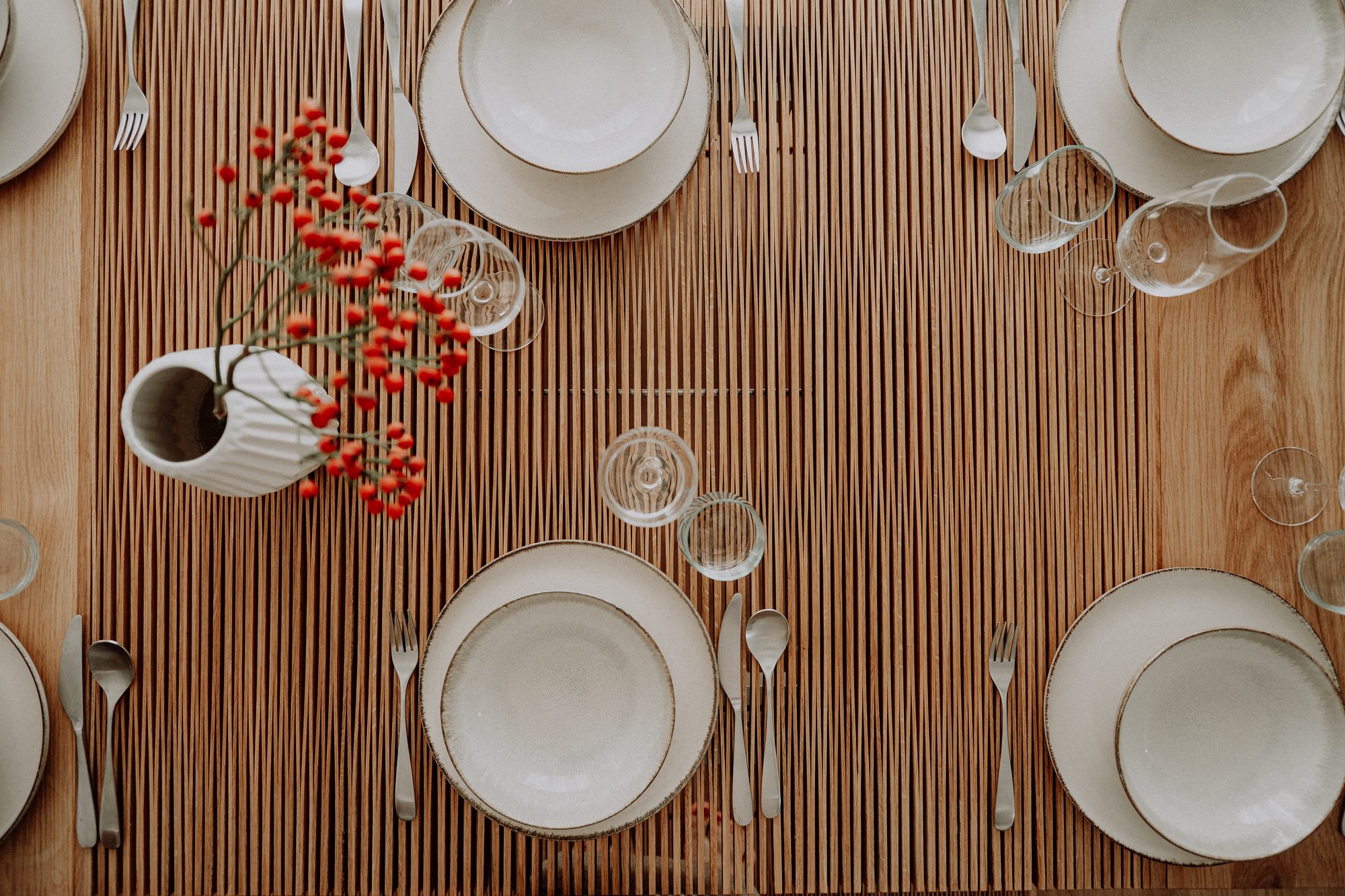 Plates and red berries on the open lamellas, from above