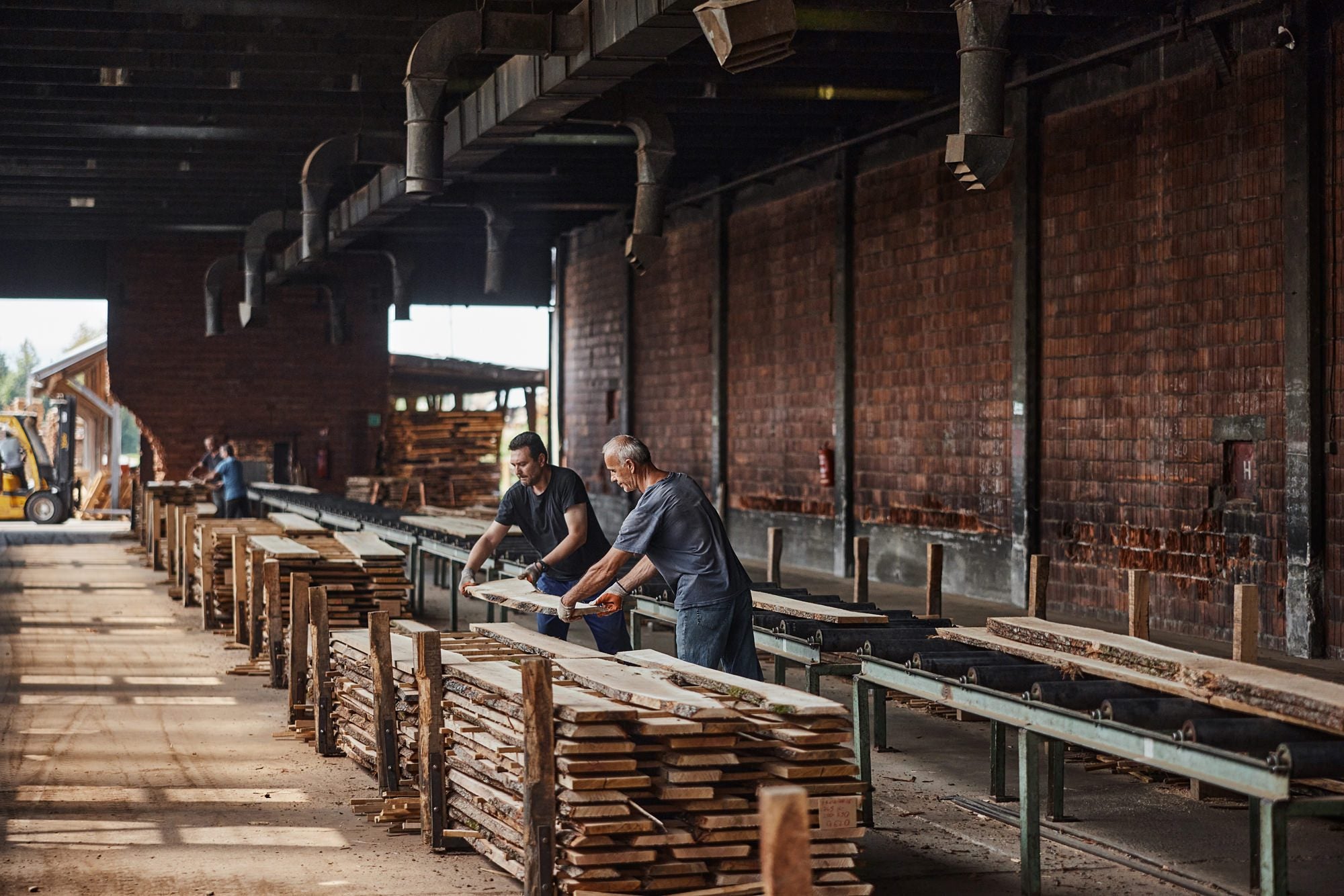Oak boards sorted by hand at the Tvin sawmill