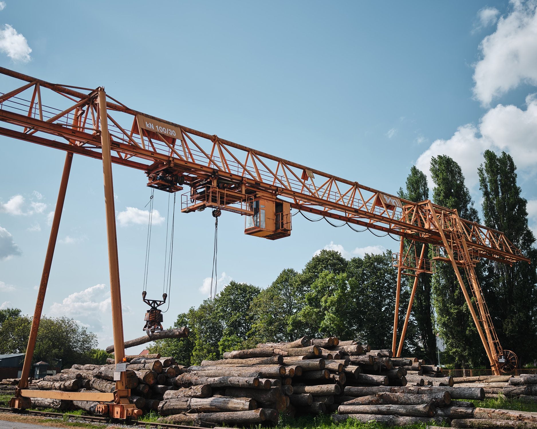 Oak logs and the old gantry crane in the Tvin log yard