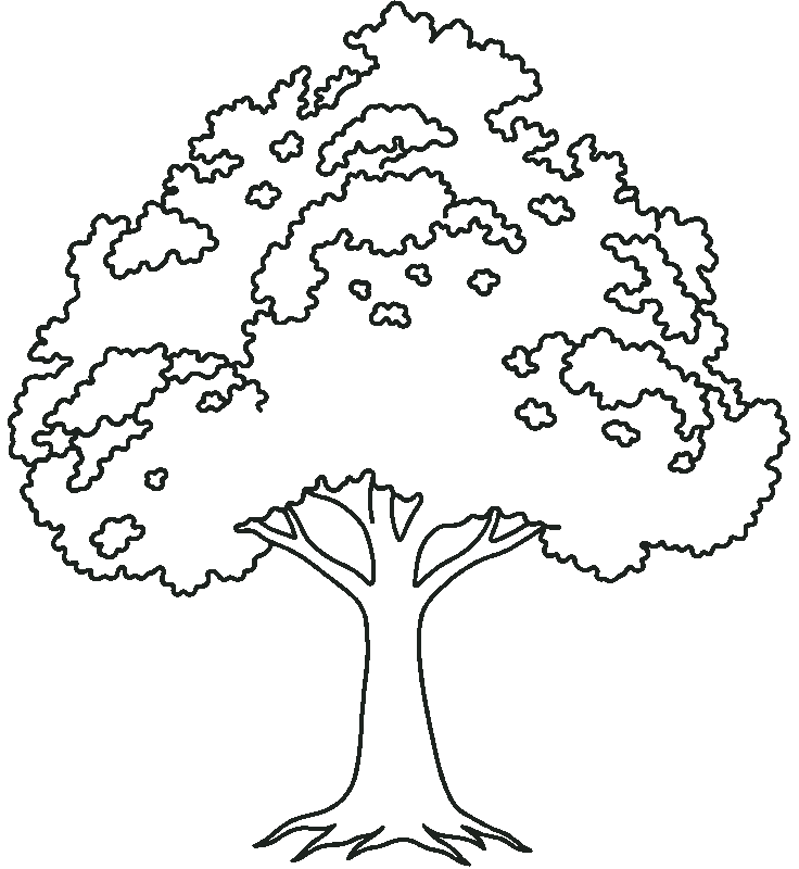 Line drawing of an oak tree